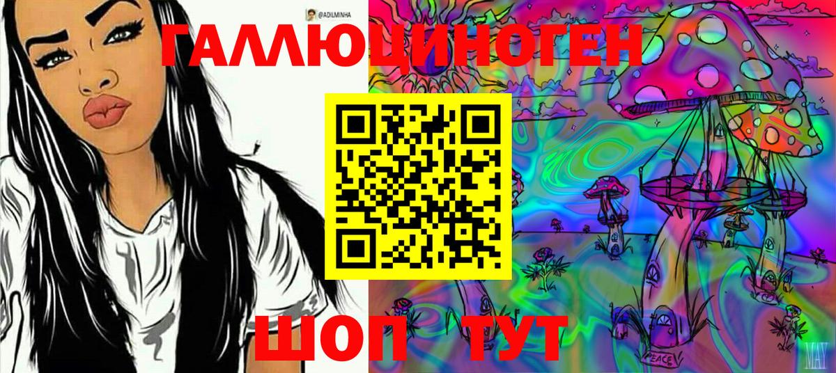 Псилоцибиновые грибы мицелий Дмитров