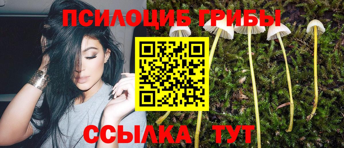 Псилоцибиновые грибы мицелий  Вход с VPN  Дмитров 